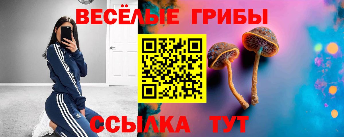 Псилоцибиновые грибы Cubensis Артёмовский